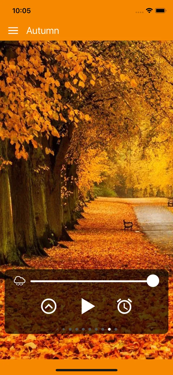 Mood: Rain Sounds Autumn rain scene with a tree-lined path covered in leaves